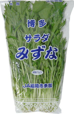 【福岡産・九州産】サラダ水菜(サラダミズナ)　180g