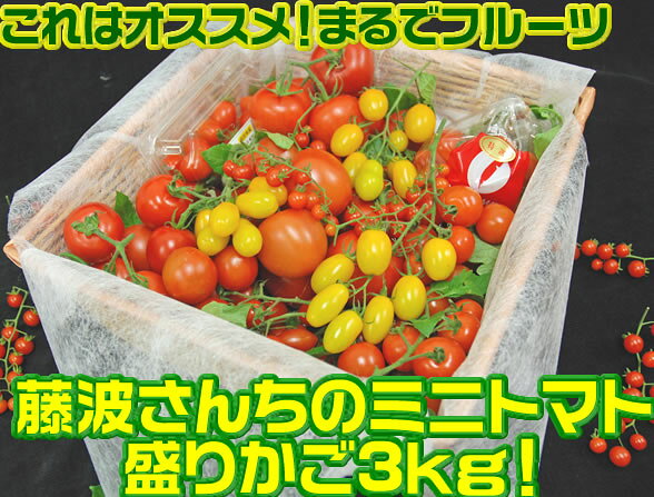 ƣΥȥޥ꤫ޤǥե롼ĤʥȥޥȤ3kgäפ碌̵ʡȯۡ1ܡϤ