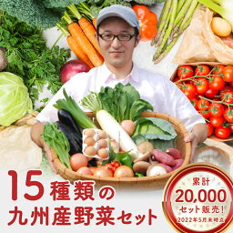 【あす楽】九州野菜セット15品旬の野菜詰め合せ【<strong>送料無料</strong>】おまかせ詰め合わせセット！人気のセット！西日本【セット】