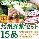 【あす楽】【セット】 おまかせ 九州野菜セット 15品 旬の...