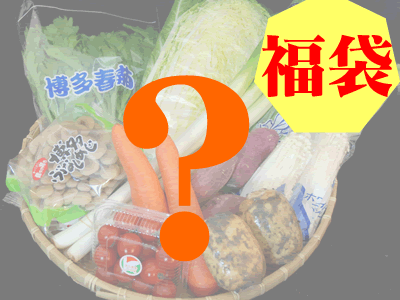 【福袋】店長厳選おまかせ野菜セット【福袋★福岡発】