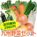 九州野菜セット　＜新生姜・ナス・きゃべつ・塩玉葱・ピーマン・ゴーヤ・アスパラ・オクラ・赤なす・青しそ＞
