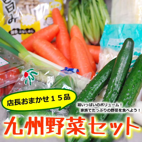【セット】　おまかせ九州野菜セット　15品の野菜詰め合せ　【送料無料】