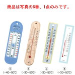 プラスチック製 温度計 20cm 48352