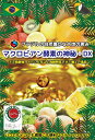 マクロビアン酵素 マクロビック理論 【健康食品 酵素 スティ...