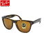 レイバン サングラス ウェイファーラー フォールディング Ray-Ban RB4105 710 54サイズレイバン RAYBAN WAYFARER FOLDING 折りたたみ べっ甲 べっこう ICONS アイコン メンズ レディース