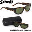 ショット SCHOTT サングラスGREENE 2 56サイズグリーン 七枚蝶番 七枚丁番 日本製ショット SCHOTT メンズ レディース