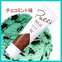 【1本】薬用ハミガキ プチリカル 30g チョコミント味 歯磨き粉 フッ素 歯磨き粉 ふっ素 歯ミガキ粉 はみがきこ【メール便可 15本まで】