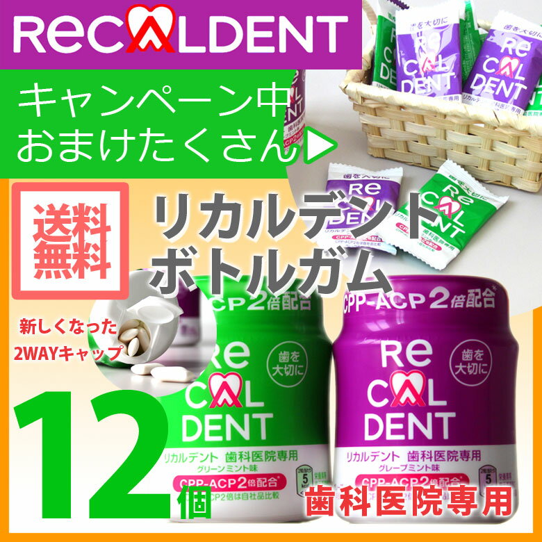 【いまだけプレゼント付き!】【2WAYキャップにリニューアル!】リカルデント ボトルガム【12個】 歯科医院専用 キシリトール配合 140g 粒ガム【メール便不可】 【いまだけプレゼント付き!】【2WAYキャップにリニューアル!】リカルデント ボトルガム【12個】 歯科医院専用 キシリトール配合 140g 粒ガム【メール便不可】