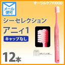 子供歯ブラシ シーセレクション アニィ1 キャップなし 12本 ジュニア 幼児【メール便可 1セットまで】