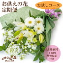 【お供えの花 定期便】お試しコース お供えの花 月命日 仏花 送料無料