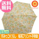 【送料無料】サンマルコ すみっコぐらし 転写プリント子供傘 55cm 持ち手:ブルー【ラッピング不可商品】