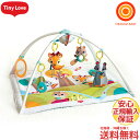 TINYLOVE(タイニーラブ) ジミニーデラックス イント...