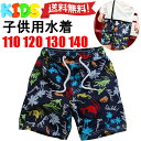 ネイビーカラー ヤシの木デザインサーフパンツ キッズ 子供 ...