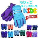 【クロネコDM便は送料無料】ちびっこスノーグローブ スキーグローブ 子供用 キッズ