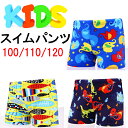 キュートデザイン 男の子用スイムパンツ 子供 キッズ 赤ちゃん ベビー 水着 スイムウエア【ネコポス便は送料無料 宅配便780円】