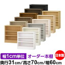 オーダー 本棚 収納 棚 書棚 ラック サイズオーダー 大容...