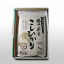 【玄米】ギフト 贈答用 28年度福井県産 コシヒカリ 5kg 福井県認定エコファーマー フレッシュ真空パック