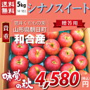 【山形県朝日町和合産】 和合りんご シナノスイート 贈答用5kg 14〜18玉 産地直送 送料無料!(沖縄・離島を除く)