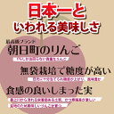 【山形県朝日町産】 サンふじりんご サンふじりんご 訳あり ...