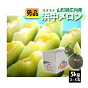 【2021年先行予約】【山形県 庄内産 】 浜中メロン秀品 5kg 3~5玉セット 送料無料(沖縄・離島・一部地域を除く) のし対応不可