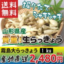 【山形県産】貴重!生らっきょう 1kg 産地直送 送料無料!(沖縄・離島を除く)期間限定!ご注文はお早めに