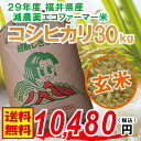 【福井県産 玄米】29年度 コシヒカリ:30kg 無化学肥料...
