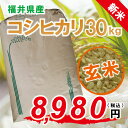 【福井県産 玄米】新米 28年度 コシヒカリ:30kg 色彩選別機 福井県認定エコファーマー 食味鑑定士のお墨付き!