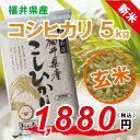 【福井県産 玄米】新米 28年度 コシヒカリ:5kg 色彩選別機 フレッシュ真空パック 福井県認定エコファーマー 食味鑑定士のお墨付き!