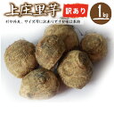 【福井県産】上庄里芋 訳有り(形がいびつ・外皮に傷・サイズが...