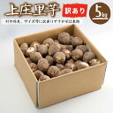 【福井県産】上庄里芋 訳有り(形がいびつ・外皮に傷・サイズが...