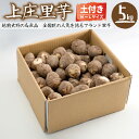【福井県産】上庄里芋 5kg 厳選 M〜Lサイズ混合 ギフト...
