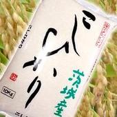 【今摺り米】【送料無料】　☆22年産　茨城県産　田舎米コシヒカリ 10kg