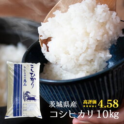 <strong>コシヒカリ</strong> 送料無料 5年産<strong>新米</strong> 茨城県産　10kg×1袋 または 5kg×2袋 ( 10kg ) お米 精米