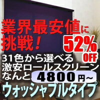 ロールスクリーン ロール スクリーン ロールカーテン オーダー ウォッシャブル 無地ロールスクリーン 無地 洗える TKW 幅300〜450mm × 丈 300〜600mm 激安 送料無料 【smtb-td】