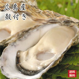 広島産 生<strong>牡蠣</strong>(かき） <strong>殻付き</strong> お徳用 （35個入）【送料無料】S-M わけあり 自宅用 贈答用 カンカン焼き用可