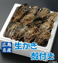 10月中旬より発送開始【予約】【送料無料】広島生かき　殻付き牡蠣（かき）【20個入り！】