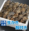 10月中旬より発送開始【予約】【送料無料】広島生かき殻付き牡蠣（かき）【40個入り！】　