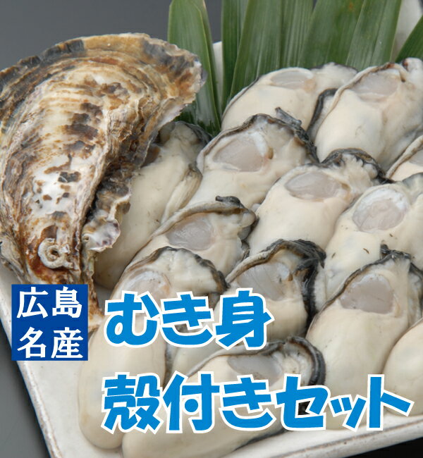 【送料無料】広島生牡蠣（かき）【むき身500gと殻付き牡蠣20個セット】　【smtb-kd】2〜5人用のむき身と殻付きセット！殻付かきを多めに食べたい方オススメです！