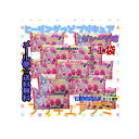 大阪京菓ZRバンダイ 13グラム 2020年シーズン ●グレープ味● ヒーリングっどプリキュア グミ グレープ ×11袋 +税 【ma11】【メール便送料無料】