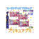 大阪京菓ZRバンダイ 13グラム 2020年シーズン ●グレープ味● ヒーリングっどプリキュア グミ グレープ ×4袋 +税 【ma4】【メール便送料無料】
