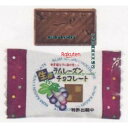 大阪京菓 ZRxピュアレ 5000グラム 生風ラムレーズンチョコ(ピロー)【チョコ】×1袋 +税 【x5fu】【送料無料(北海道・沖縄は別途送料)】