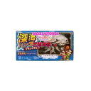 大阪京菓ZR正栄デリシィ　1枚深海ハンター〔49円〕×320個　+税