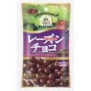 大阪京菓 ZRx正栄デリシィ 47G 果実Veilレーズンチョコ【チョコ】×96個 +税 【送料無料(北海道・沖縄は別途送料)】【x】