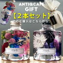 【2本セット】ちょっとお得になった アンティカフェ オリジナ...