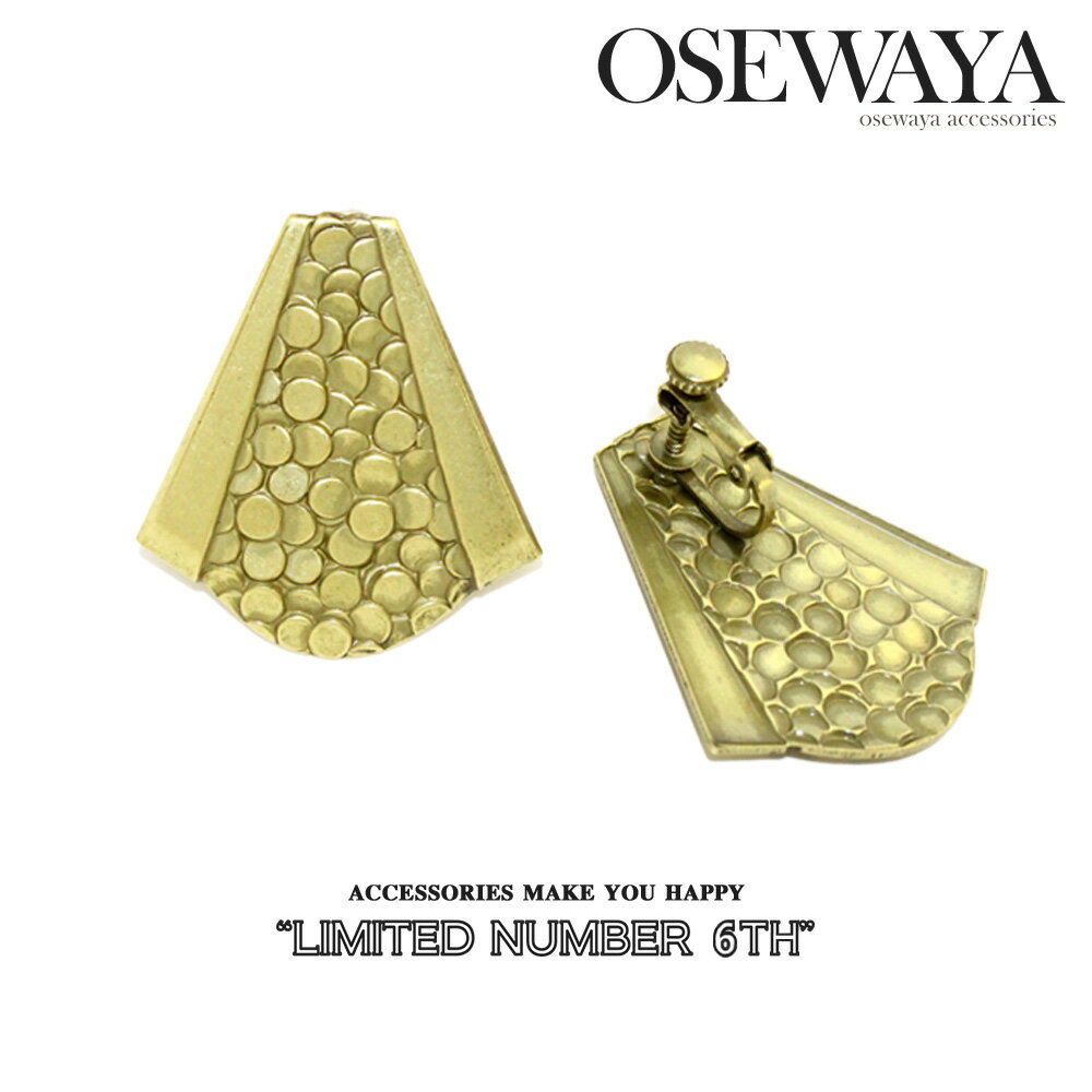 イヤリング ニッケルフリー スケイル メタル US