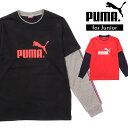 【メール便送料無料】ジュニア PUMA FD レイヤード LS TEE プーマ 長袖シャツ 長袖Tシャツ 831147 ロングスリーブ フェイクレイヤード 重ね着風 ロゴ スポーツ トレーニング 運動 男児 男の子 ブラック レッド 160