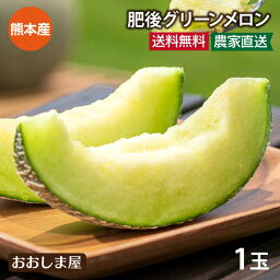 ＼父の日 早期特典1000円OFFクーポン！5/8まで／ メロン 1玉入り 送料無料 肥後グリーンメロン ＜ただいま6月上旬より順次出荷＞ 2024 熊本産 あまい 甘い 青肉 産地直送 農家直送 国産 夏ギフト <strong>めろん</strong> 高級フルーツ 果物 フルーツ おおしまや【gift】