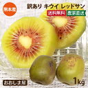訳あり 国産キウイ レッドサン 1kg(10玉-15玉) 送料無料 <訳有りのため10日から2週間でお届け> 外皮に傷あり 大きさバラバラ 国産 別名: レッドキウイ キウイフルーツ 紅妃 レインボー 赤い 熊本産 農家直送 産地直送 フルーツ 果物