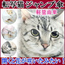 【7/28(金)9:59まで5%クーポン】【送料無料】雨傘 ジャンプ長傘 猫転写柄 ネコ柄 自動式 ワンタッチ傘 ジャンプ傘 かさ カサ 傘 アンブレラ ネコグッズ 猫雑貨 薔薇雑貨のおしゃれ姫【ラッピング】【誕生日】